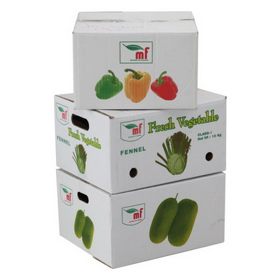 corrugated_vegetable_carton_box_strong_for_shipping
